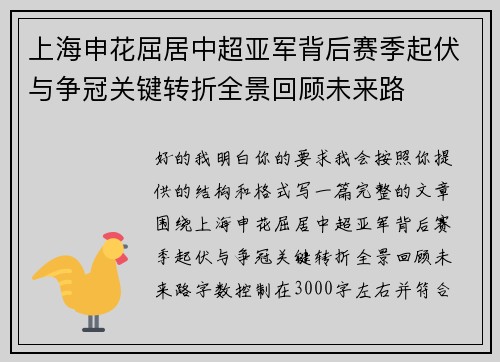 上海申花屈居中超亚军背后赛季起伏与争冠关键转折全景回顾未来路